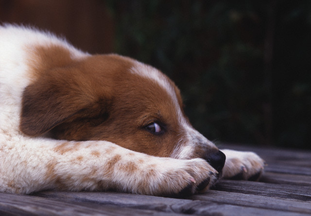 I am so sorry