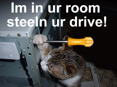 Funny cats working to fix your computer
